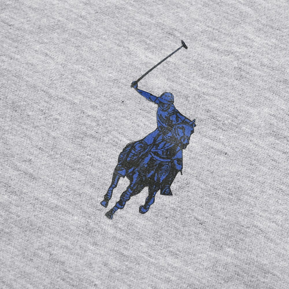 Polo Republica Men's Signature Pony Printed Fleece Pullover Hoodie Men's Pullover Hoodie Polo Republica 